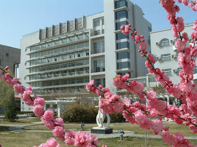 入逼操